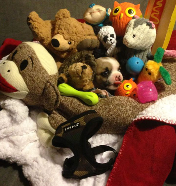 Something Doesn't Belong