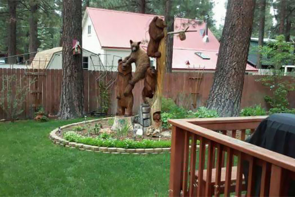 One Of Them Does Not Belong