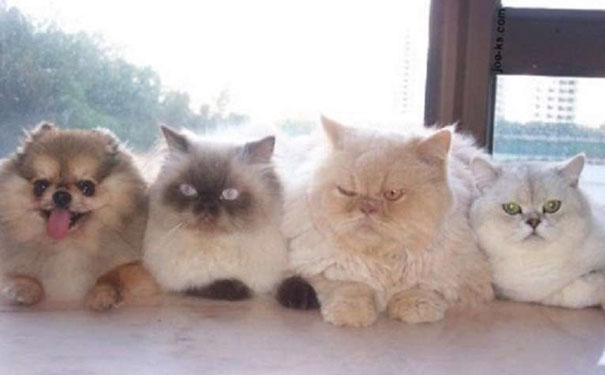 One Of Them Is Not Like The Others