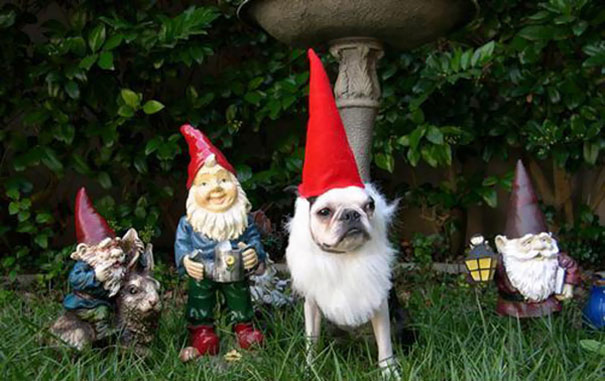 Maybe If I Stand Still No One Will Notice