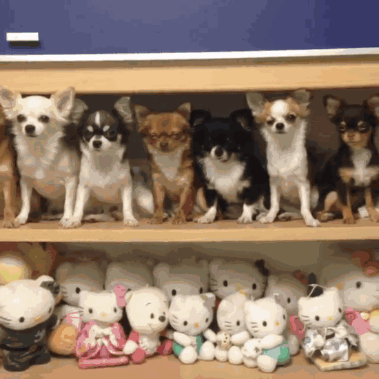 One Of These Things Is Not Like The Others