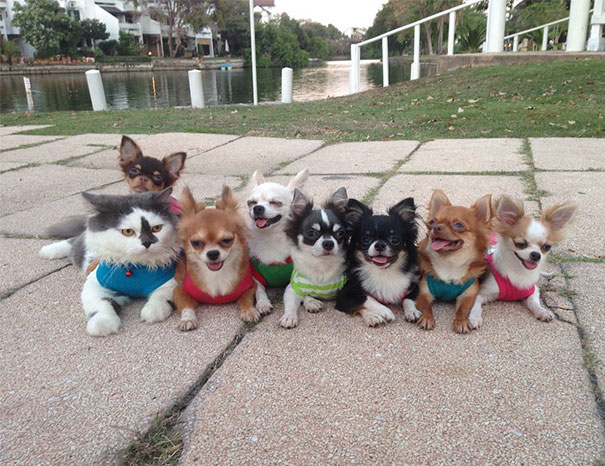 One Of These In Not Like The Others