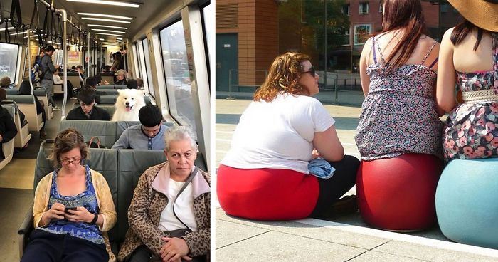 One Of These Things Is Not Like The Other (145 pics)