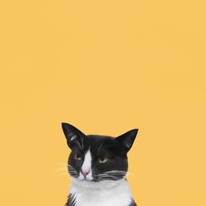 natashasandhu avatar