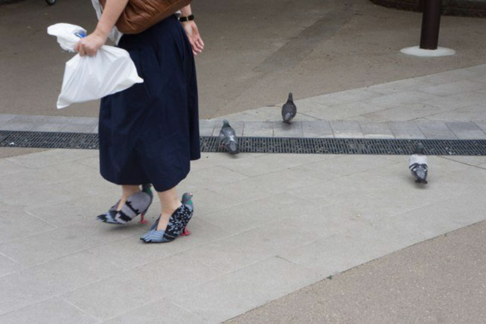 pigeon-shoes-japanese-woman-1 pigeon-shoes-japanese-woman-1