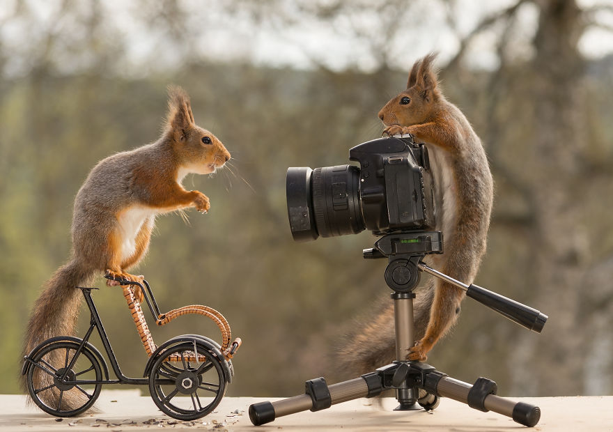 I've Been Shooting Wild Squirrels For 4 Years And They Finally Shot Me Back