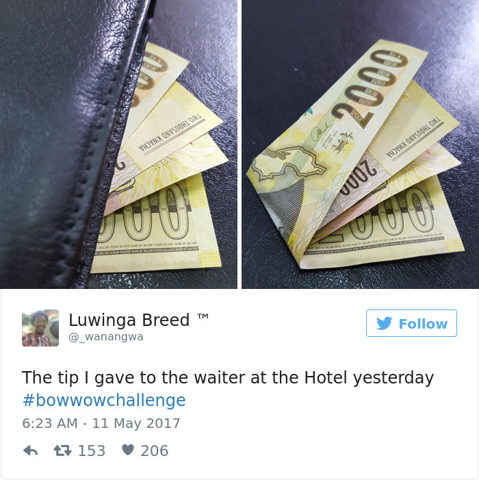 Rapper-bow-wow-challenge