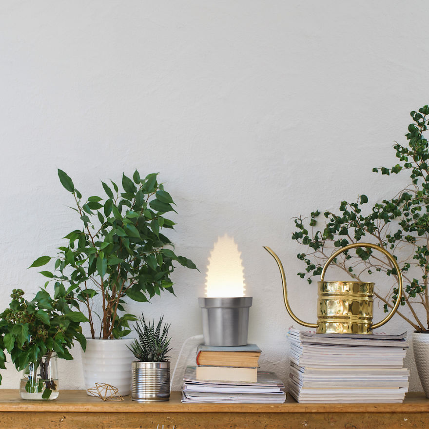 We Designed Wall Lamps That Turn Into Cactuses When Switched On