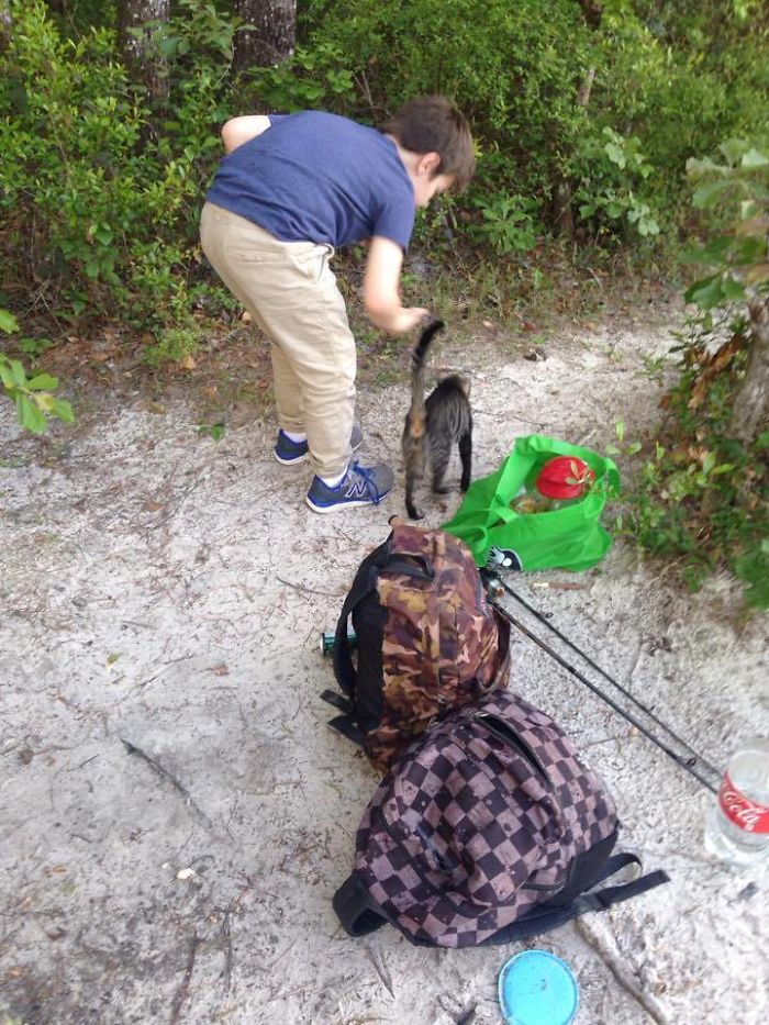 Father And Son Showed Some Love To A Stray Cat, Next Day She Came Back With A Surprise Father And Son Showed Some Love To A Stray Cat, Next Day She Came Back With A Surprise