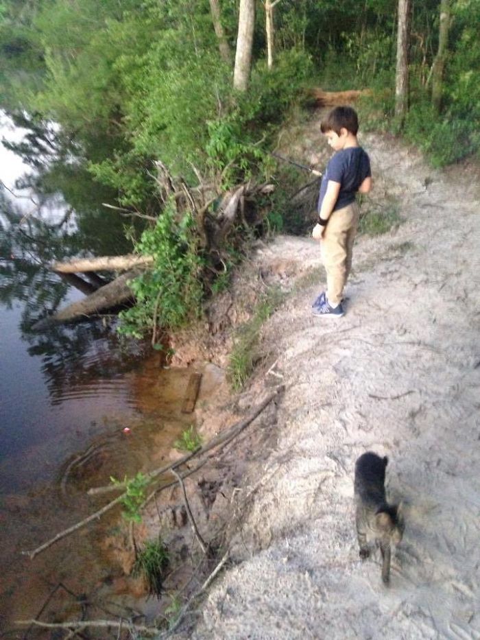 Father And Son Showed Some Love To A Stray Cat, Next Day She Came Back With A Surprise