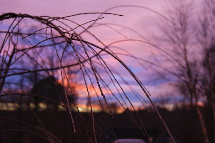 The Most Beautiful Sunsets In North Carolina