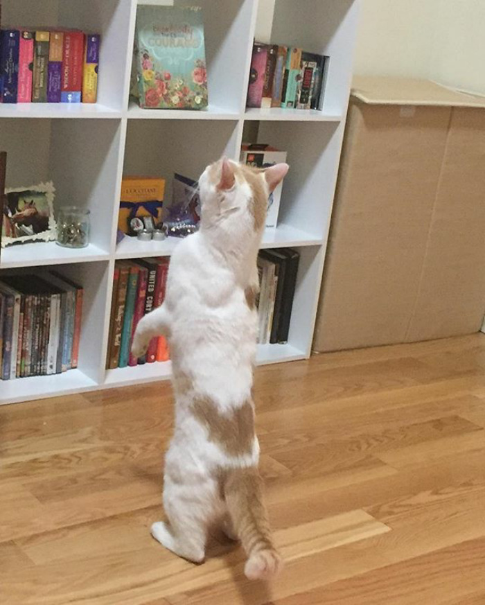 Excuse Me, Can I Borrow Something To Read?