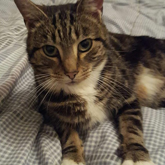 So Its Raining Out And This Guy Follows Me In, Dont Have The Heart To Put Him Out, So I Have A New Friend