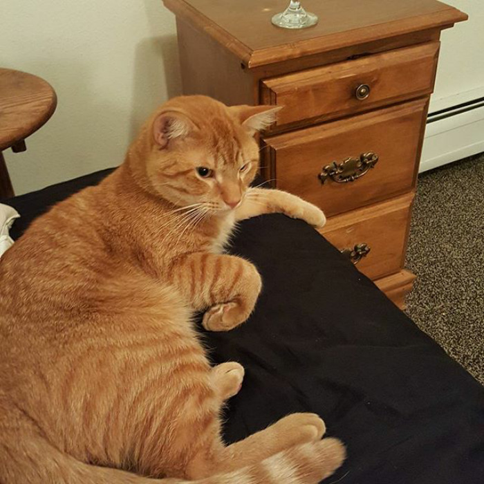 Woke Up To This Guy Beside Me