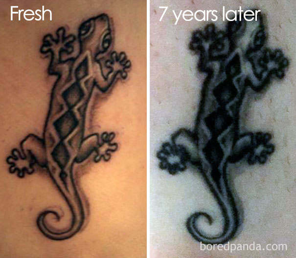 Tattoo of a lizard freshly inked and 7 years later, showing how tattoos age over time.