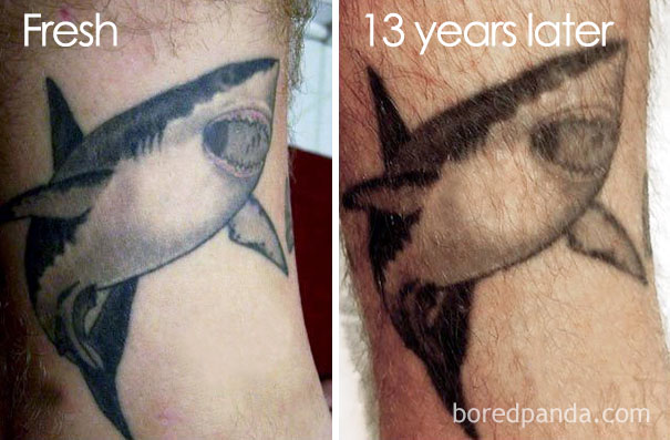 Tattoo of a shark, showing changes over 13 years, from fresh to aged.