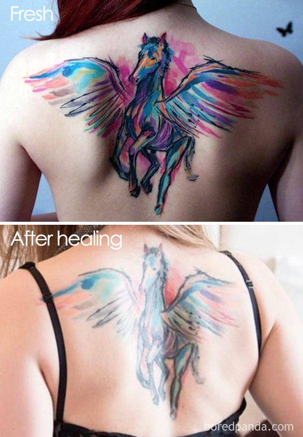 Tattoo of a colorful winged horse on back, shown fresh and after healing, illustrating how tattoos age over time.
