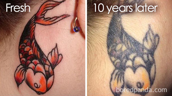 Koi fish tattoo comparison: vibrant when fresh, faded and blurred after 10 years, showing how tattoos age over time.