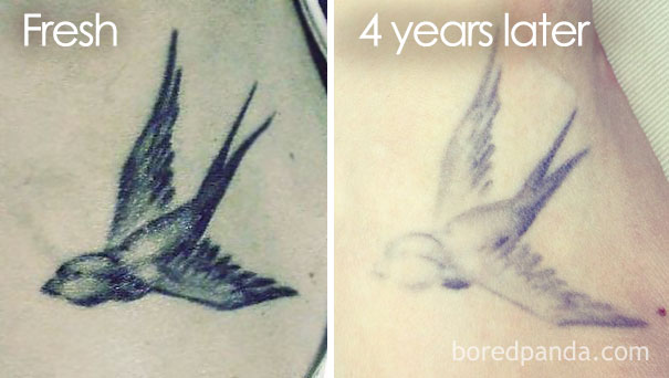 Fresh bird tattoo compared to its faded appearance after 4 years, illustrating how tattoos age over time.