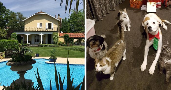 This Website Lets You Travel Around The World If You Agree To Take Care Of Other People’s Pets