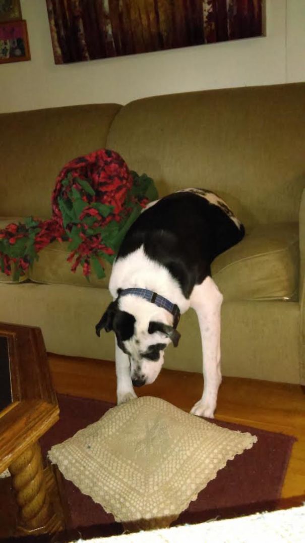 My Feet Are On The Ground So.. Technically I'm Not Sleeping On The Couch.