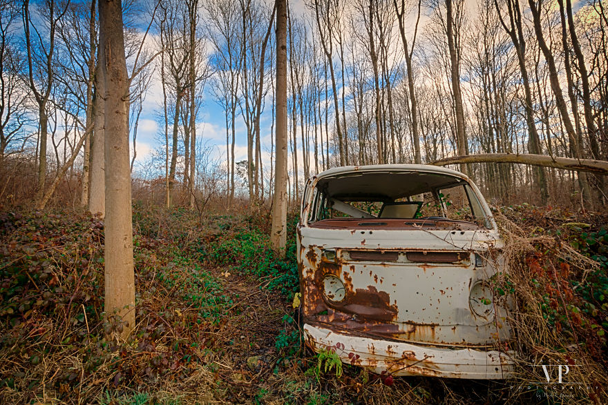 I Photographed Old Cars Lost In The Woods
