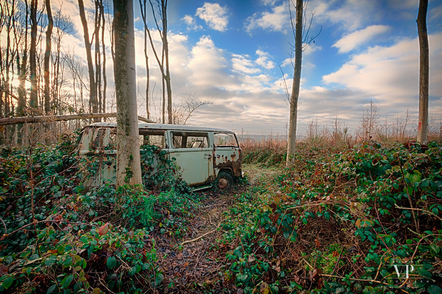 I Photographed Old Cars Lost In The Woods