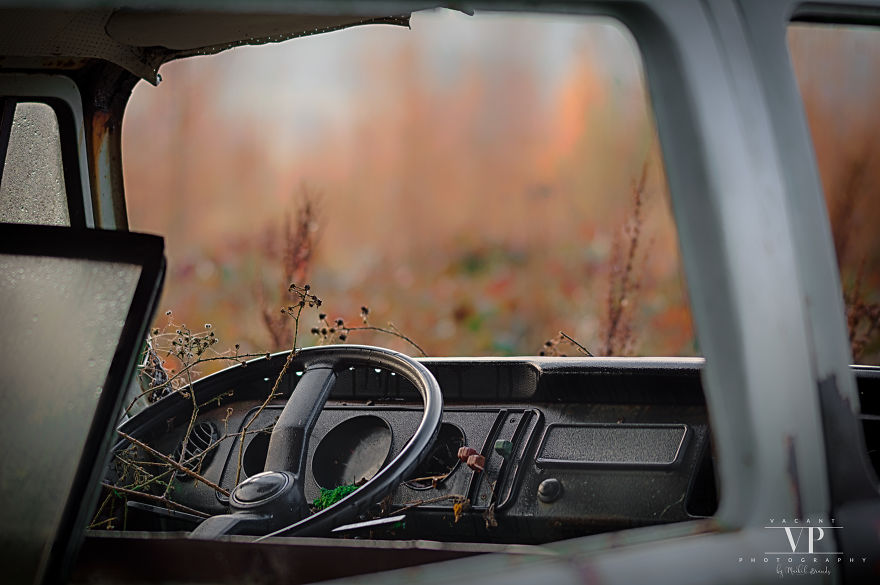 I Photographed Old Cars Lost In The Woods