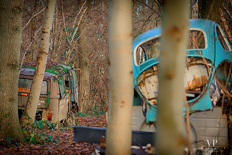 I Photographed Old Cars Lost In The Woods