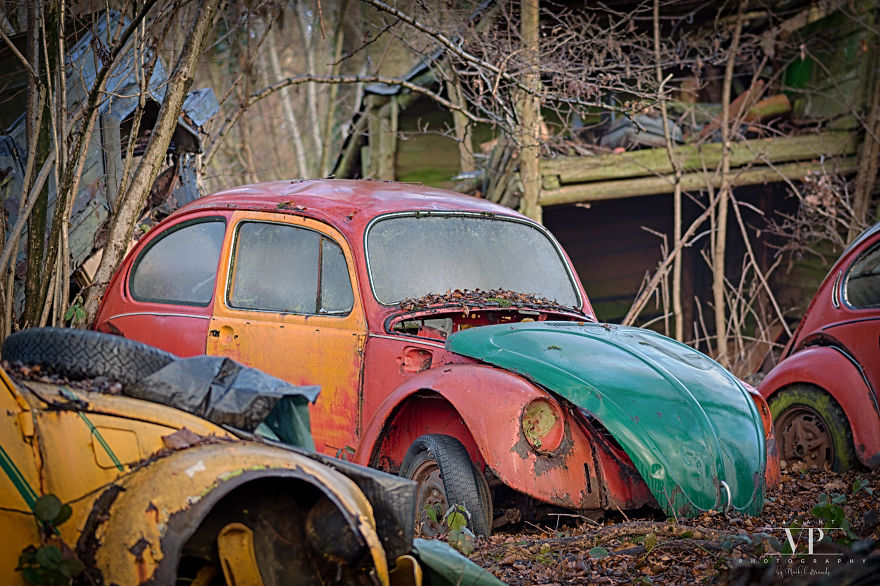 I Photographed Old Cars Lost In The Woods