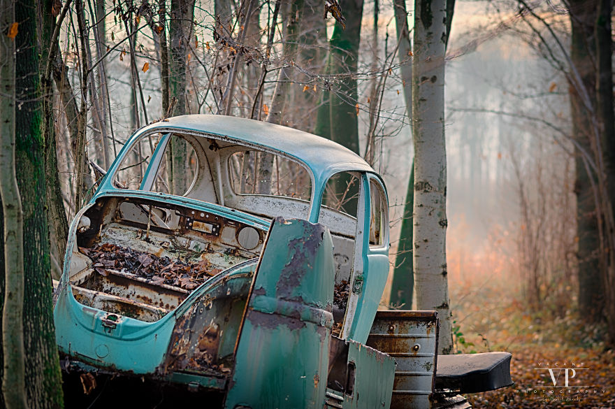 I Photographed Old Cars Lost In The Woods