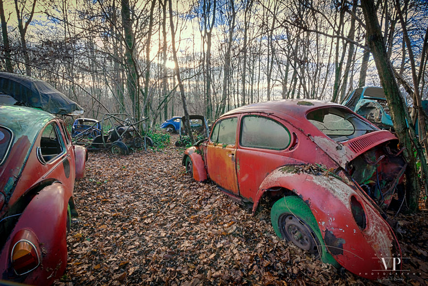 I Photographed Old Cars Lost In The Woods