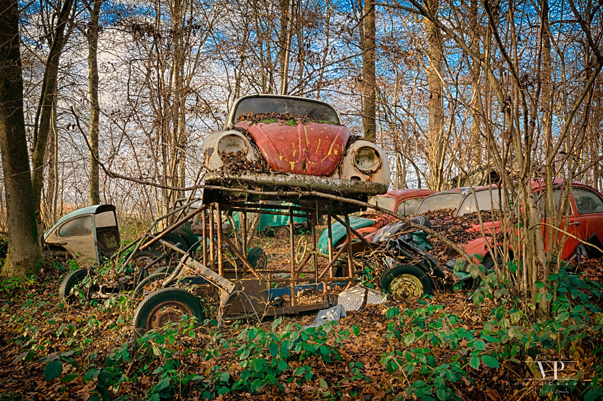 I Photographed Old Cars Lost In The Woods