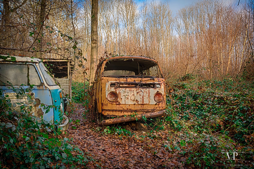 I Photographed Old Cars Lost In The Woods