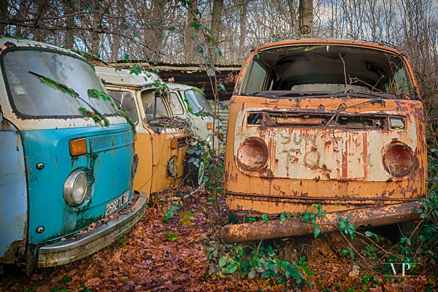 I Photographed Old Cars Lost In The Woods