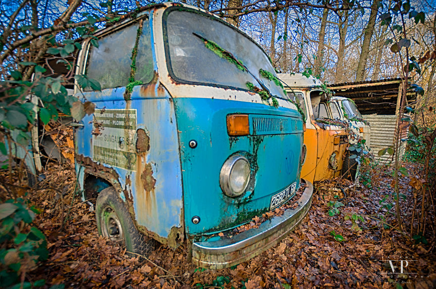 I Photographed Old Cars Lost In The Woods