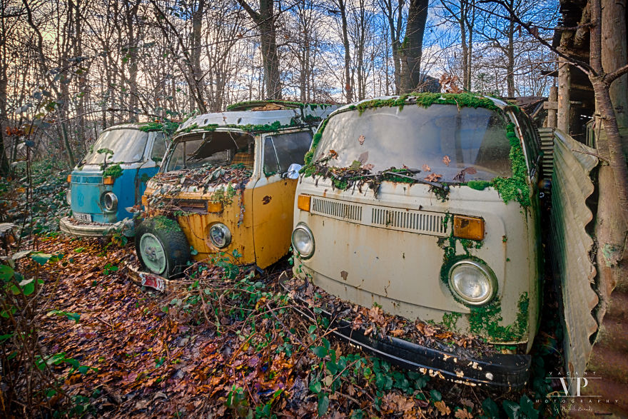 I Photographed Old Cars Lost In The Woods