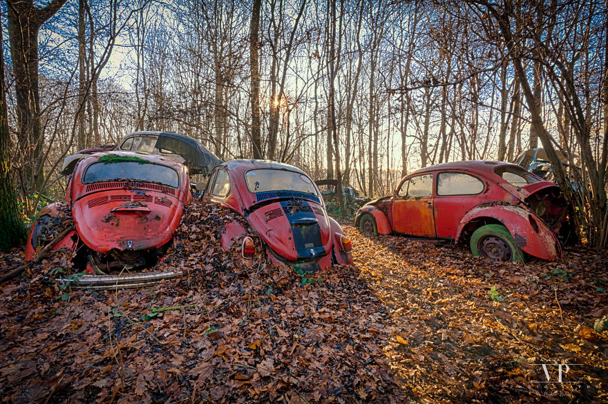I Photographed Old Cars Lost In The Woods