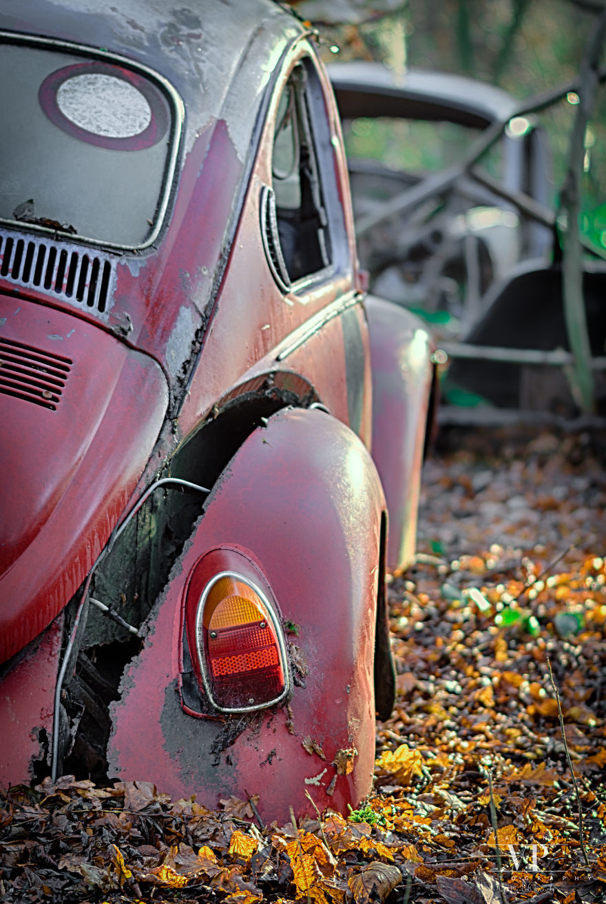 I Photographed Old Cars Lost In The Woods