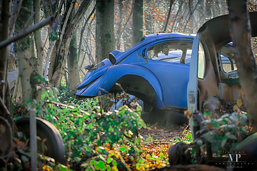 I Photographed Old Cars Lost In The Woods