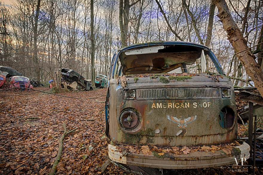 I Photographed Old Cars Lost In The Woods