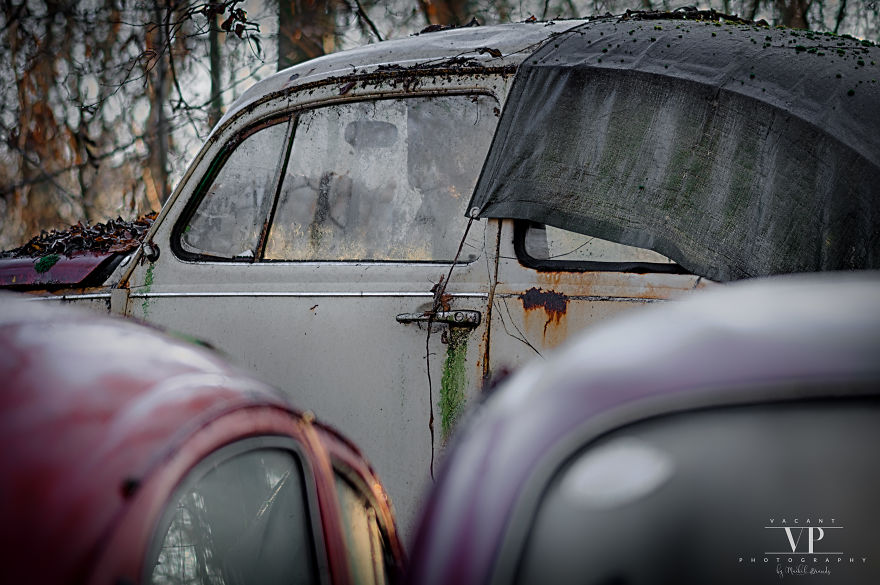 I Photographed Old Cars Lost In The Woods