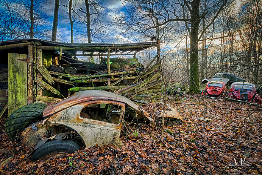 I Photographed Old Cars Lost In The Woods