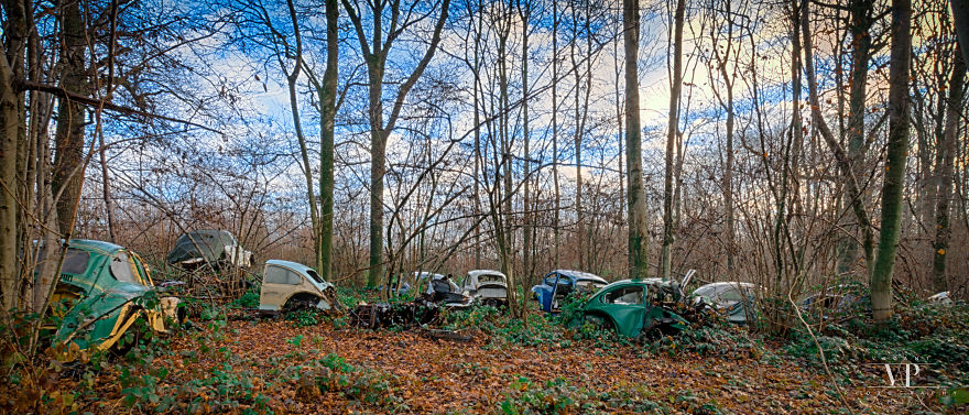 I Photographed Old Cars Lost In The Woods