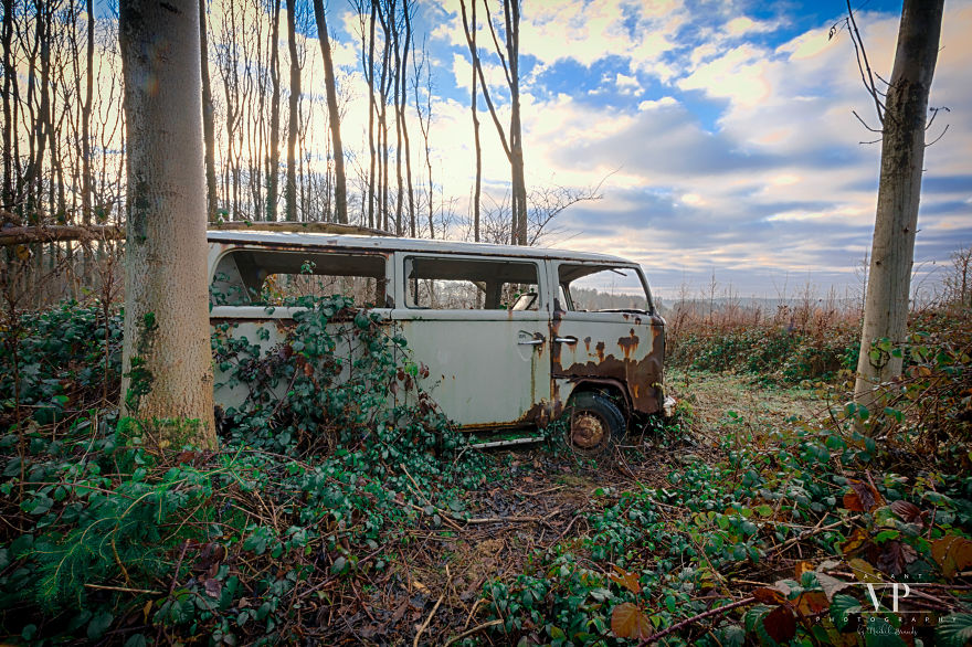 I Photographed Old Cars Lost In The Woods