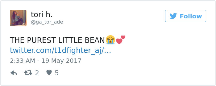 yearbook-dog-photo-aplha-andrew-schalk-12 yearbook-dog-photo-aplha-andrew-schalk-12