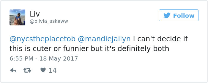 yearbook-dog-photo-aplha-andrew-schalk-13 yearbook-dog-photo-aplha-andrew-schalk-13