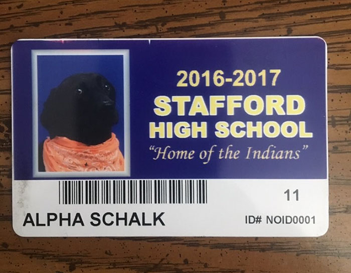 yearbook-dog-photo-aplha-andrew-schalk-9 yearbook-dog-photo-aplha-andrew-schalk-9