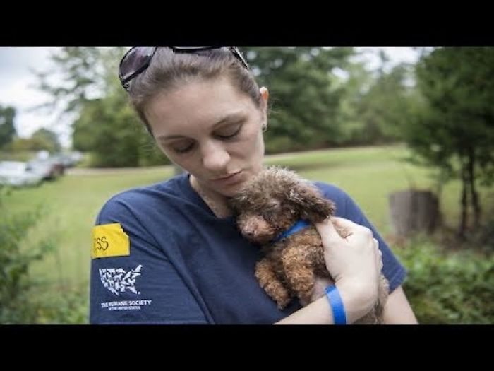 Rescuers Save Dog Kept Locked In A Basement Her Whole Life