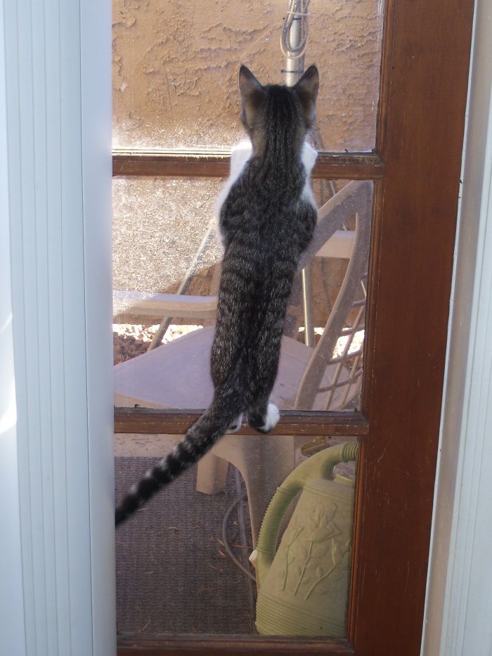 I Think I Saw A Bird Fly By!